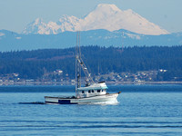 Seaward With Mt Baker in the Background